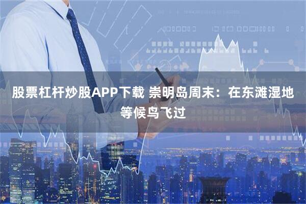 股票杠杆炒股APP下载 崇明岛周末：在东滩湿地等候鸟飞过