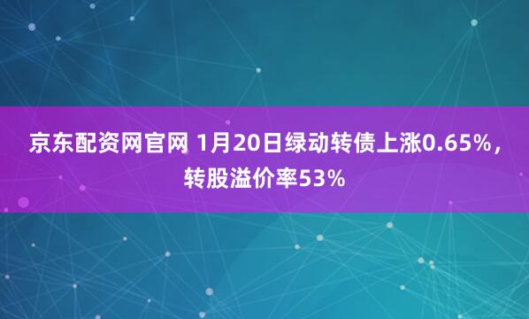 京东配资网官网 1月20日绿动转债上涨0.65%，转股溢价率53%