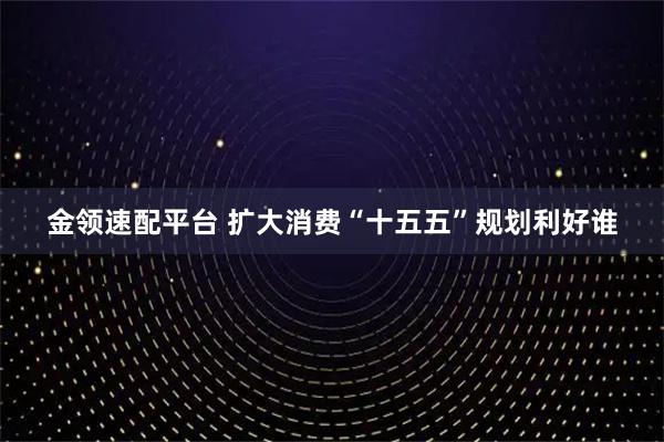 金领速配平台 扩大消费“十五五”规划利好谁